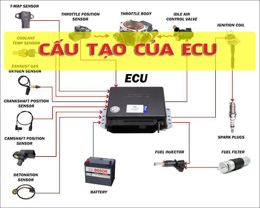 ECU chiếm vai trò quan trọng nhất trong hệ thống phun xăng điện tử