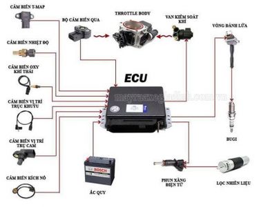 ECU điều khiển hầu hết các bộ phận trên xe