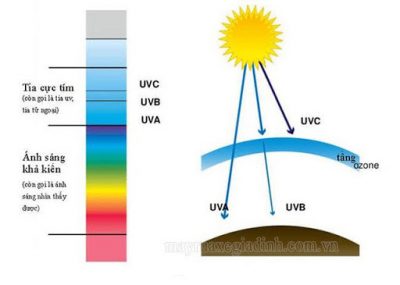 Tia UV là gì?