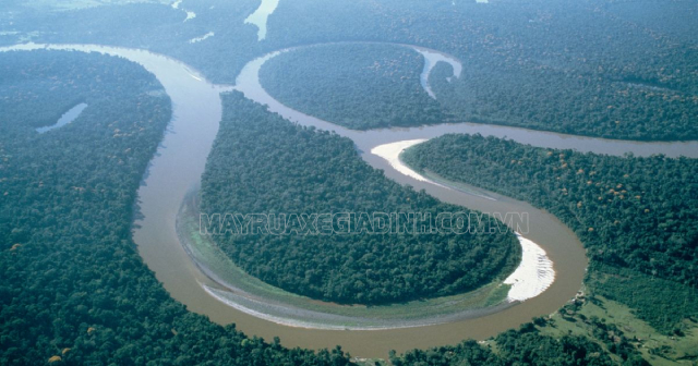 Sông Amazon thuộc Nam Mỹ.