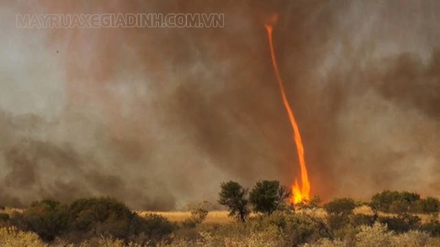 Hiện tượng vòi rồng lửa được hình thành trong các trận cháy rừng