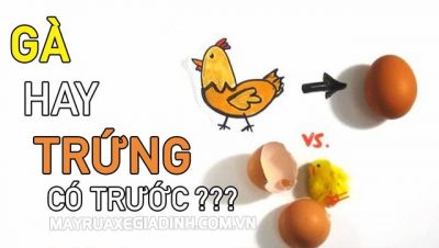 Câu hỏi kinh điển: Quả trứng có trước hay con gà có trước?