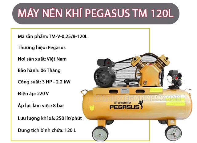 Pegasus TM-V-0.25/8-120L là dòng máy nén khí được ưa chuộng đến từ thương hiệu đầu tiên có nhà máy lắp đặt tại Việt Nam.