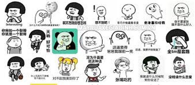 Bộ ảnh meme hài Gấu trúc Weibo với vô vàn biểu tượng cảm xúc - meme cute.