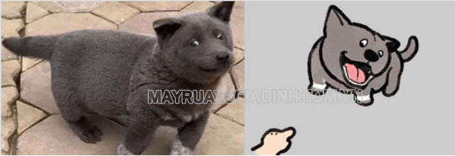 Meme chú chó Nguyễn Văn Dúi không chỉ nổi tiếng từ khi xuất hiện mà còn là meme 2021 được nhiều người yêu mến.