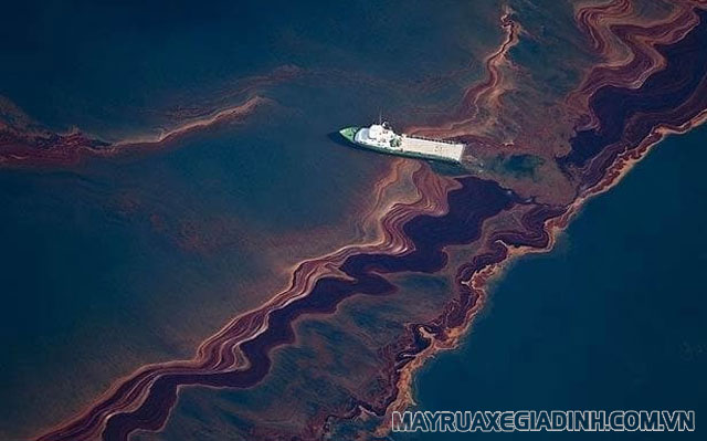 Sự cố tràn dầu trên biển gây ô nhiễm nguồn nước.