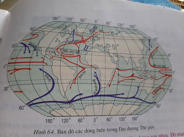 Dòng chảy của các dòng biển nóng và lạnh trên Thế giới.