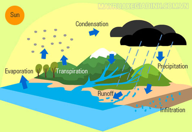 Chu trình của nước - tạo mưa xuống bề mặt Trái Đất.