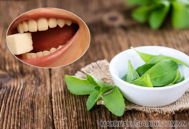 Sử dụng cây cỏ ngọt trong việc chăm sóc răng miệng, đem lại hơi thở thơm tho.