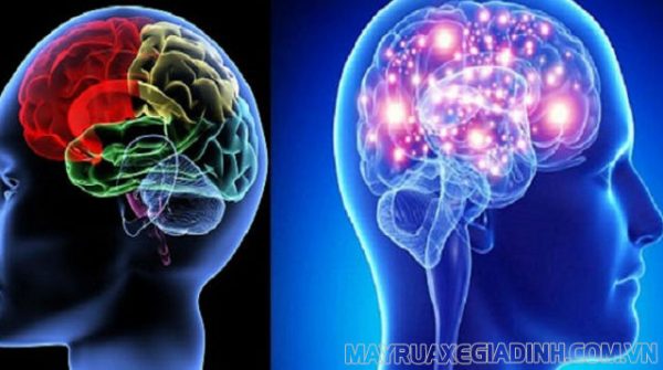 Tri giác là gì? Khái niệm, đặc điểm và vai trò của tri giác