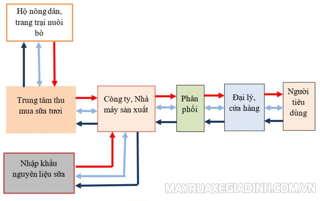 Quan sát mô phỏng mô hình chuỗi cung ứng chung của các công ty sản xuất sữa.