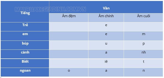 Âm chính là gì? Các nguyên âm sẽ đảm nhận âm chính trong âm tiết tiếng Việt.