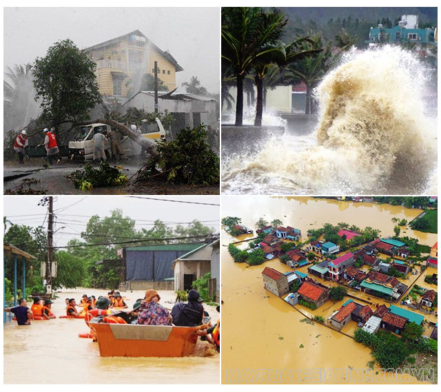 Ảnh hưởng của bão áp thấp nhiệt đới ở Việt Nam