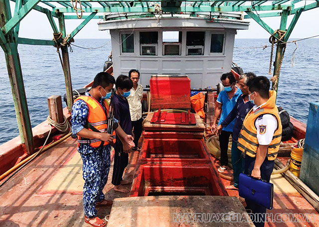 Cảnh sát biển Việt Nam thực hiện kiểm tra, khám xét đối với tàu thuyền vi phạm trong vùng nội thủy của biển nước ta.
