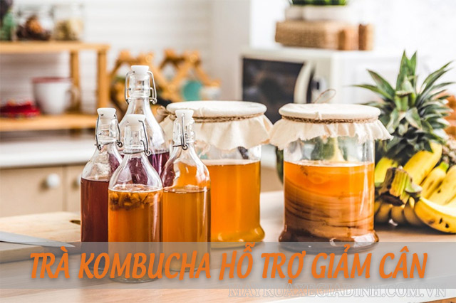 Trà Kombucha có chứa hàm lượng chất giúp hỗ trợ giảm cân hiệu quả